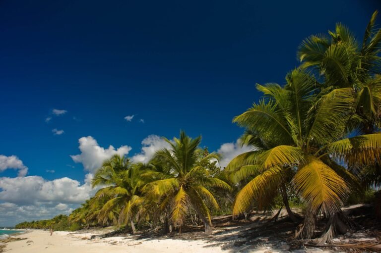 Isla Catalina, La Romana, República Dominicana